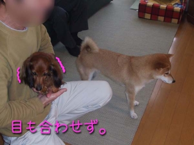 相変わらず。。。