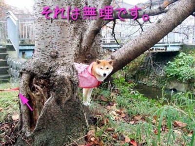 動けず・・・。