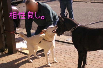 良かった。