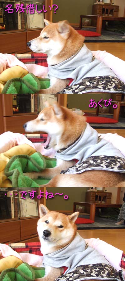 平和だね〜。