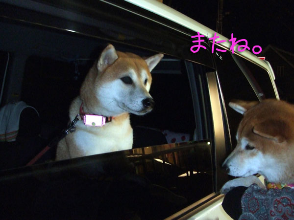 ̾»ÄÀˤ·¤¤¡£