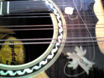 suzuki¡¡mandolin¡¡No206¡¡¤½¤Î2