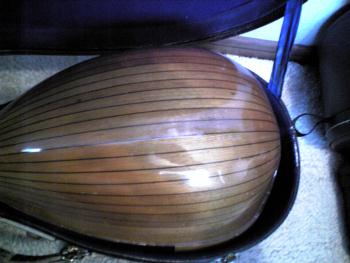 suzuki¡¡mandolin¡¡No206¡¡¤½¤Î3