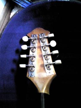 suzuki¡¡mandolin¡¡No206¡¡¤½¤Î4