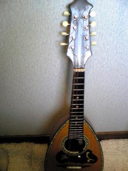 suzuki¡¡mandolin¡¡No206¡¡¤½¤Î6