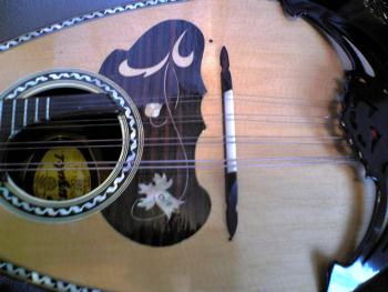 suzuki¡¡mandolin¡¡No206¡¡¤½¤Î7