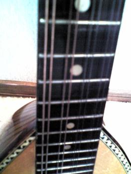 suzuki¡¡mandolin¡¡No206¡¡¤½¤Î8