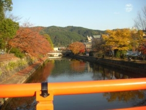 疎水の紅葉です