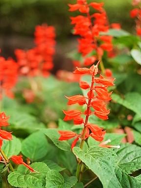 2013_1024_143045-R0016341.JPG