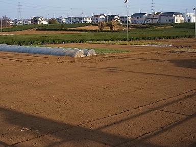 2016_0105_151917-R0026571.JPG