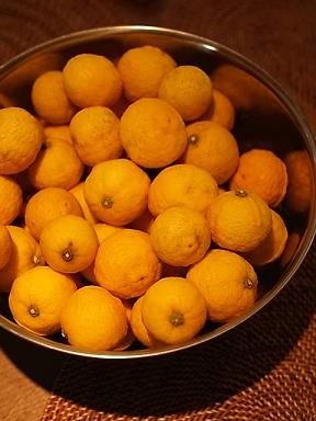 2016_0108_125340-R0026584.JPG