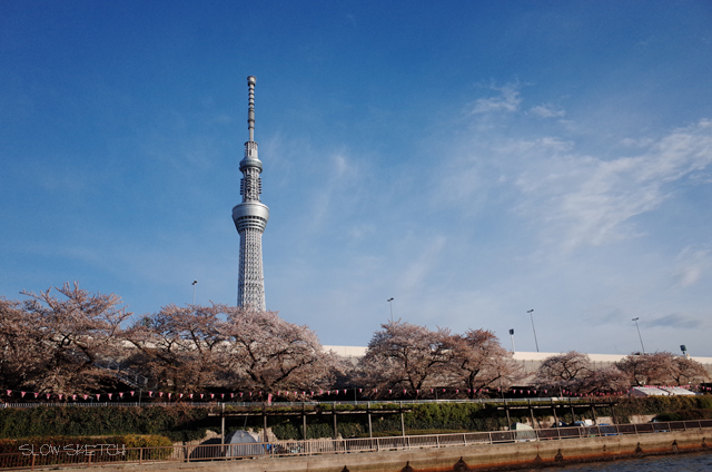 R0000375-2.jpg