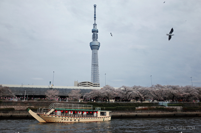 R0000364-2.jpg