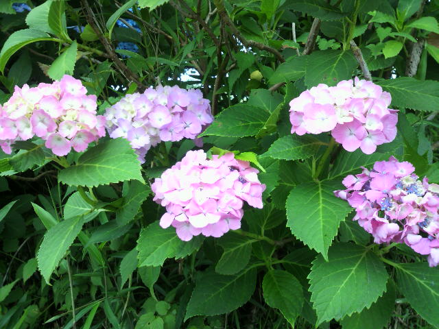 2014060911520000.jpg
