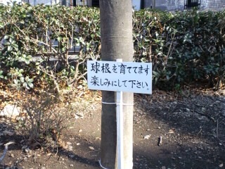 看板2