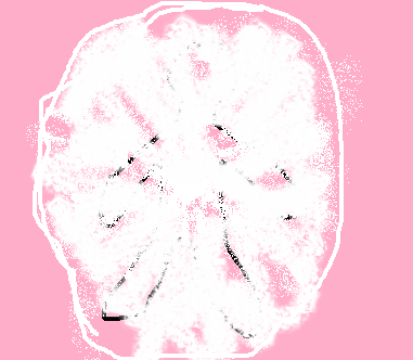 ¼«Ê¬¤Î¸÷£²