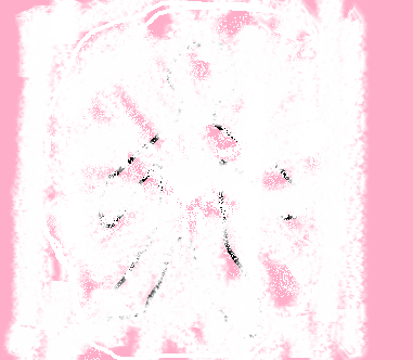 ¼«Ê¬¤Î¸÷¤Î¤Ï¤·¤é