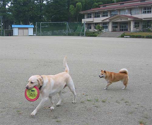 「こっちこっち〜」