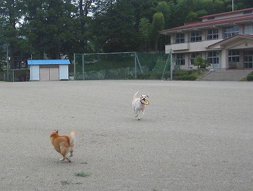 「ここまでおいで〜」