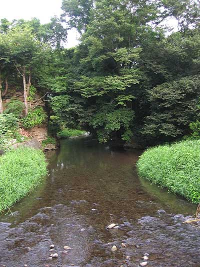 川は今朝も流れる