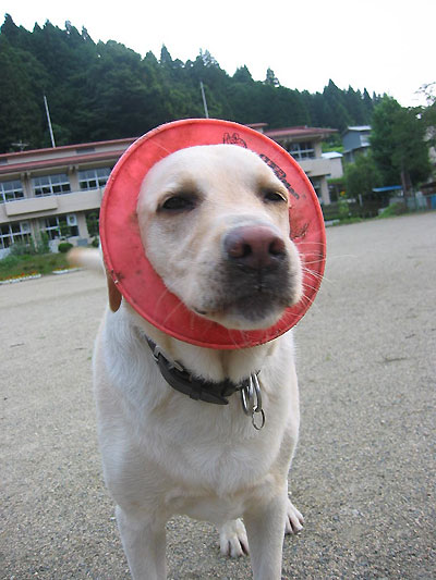 怪しい者ではございません。