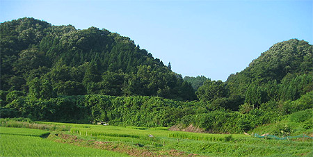 夏山