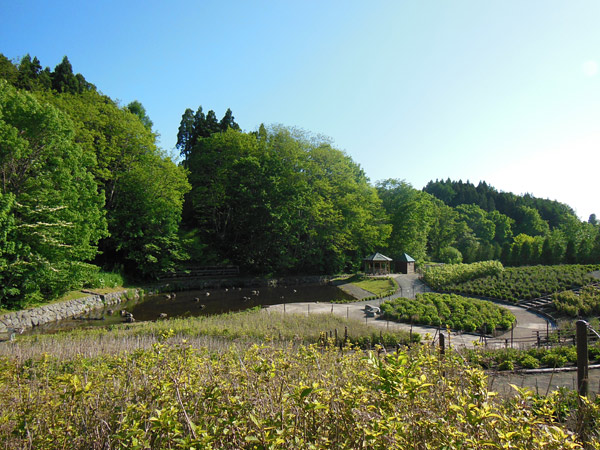 2013-6-21c.jpg