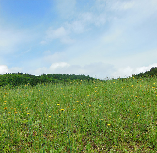 2013-7-5.jpg