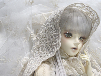 2014-8-16.jpg