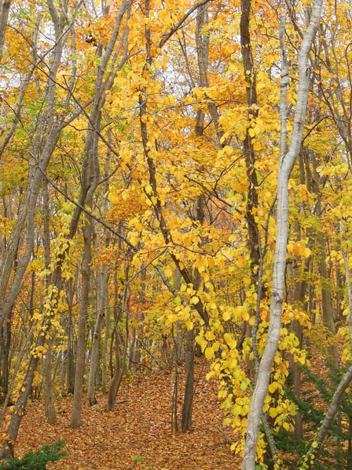 2014-10-27.jpg