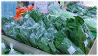 島の駅壱番館 野菜
