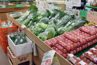壱番館野菜セール