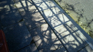 2010050110540000.jpg