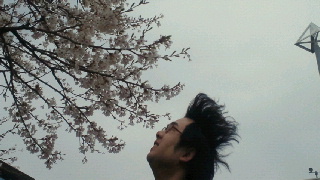 2010050217070000.jpg