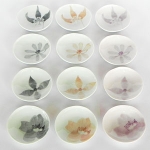 pressed flowers 豆皿