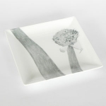 pressed flowers ネギ坊主