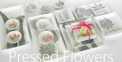 pressed flowers all