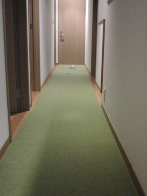 廊下にぴったりのパターマット
