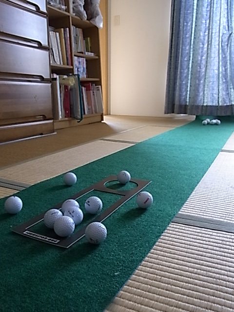 畳の部屋のパターマット
