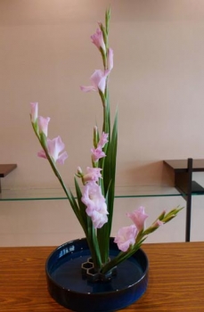 グラジオラス お生花 未生流笹岡 いけばな教室