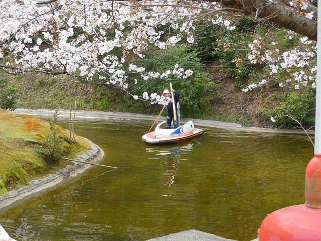 DSCN0807_640.jpg