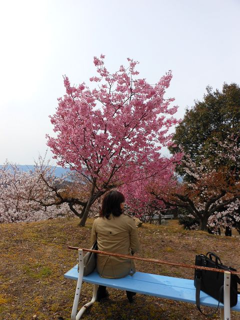 DSCN0811_640.jpg