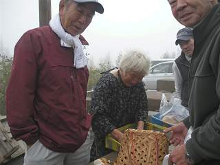 日本(椎茸・おばあさん)