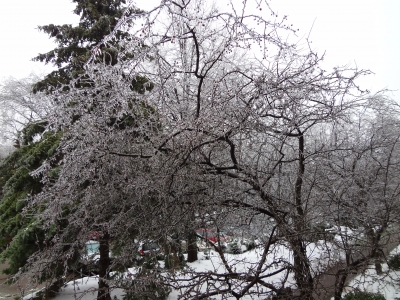 ice weather