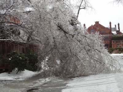 ice weather