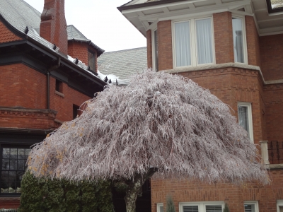ice weather