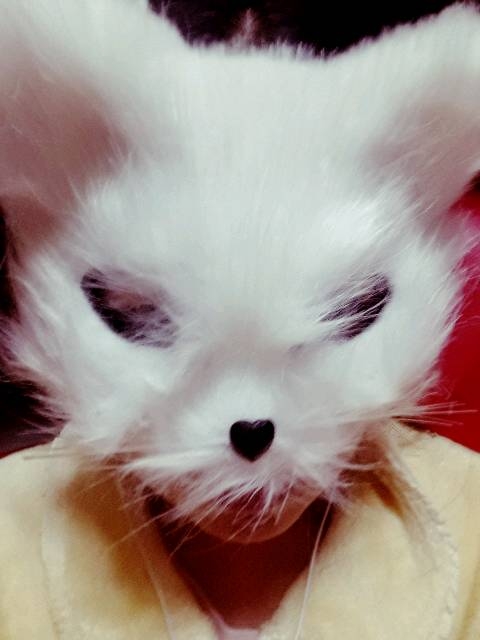 img20171020_195413.jpg