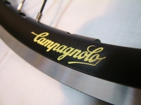 campagnolo logo