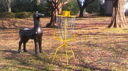 2010121211030000.jpg