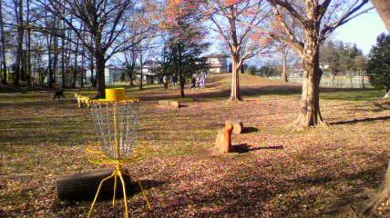 2010121209440000.jpg
